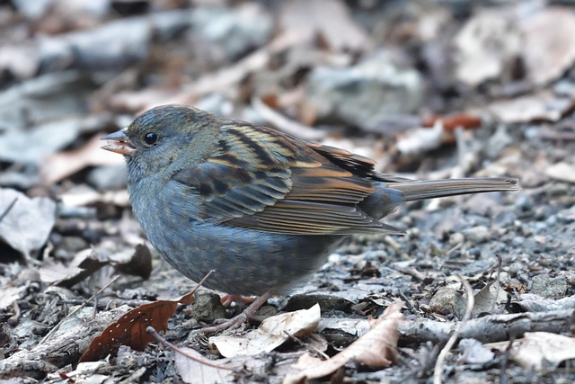 Kørepose bedst i test: Hvilken model holder dit barn varmest?